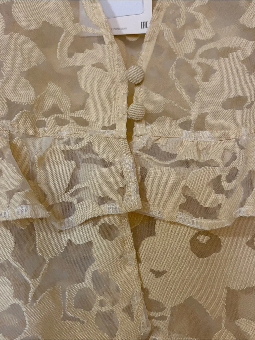ZARA Cream Sheer Floral Ruffle Blouse